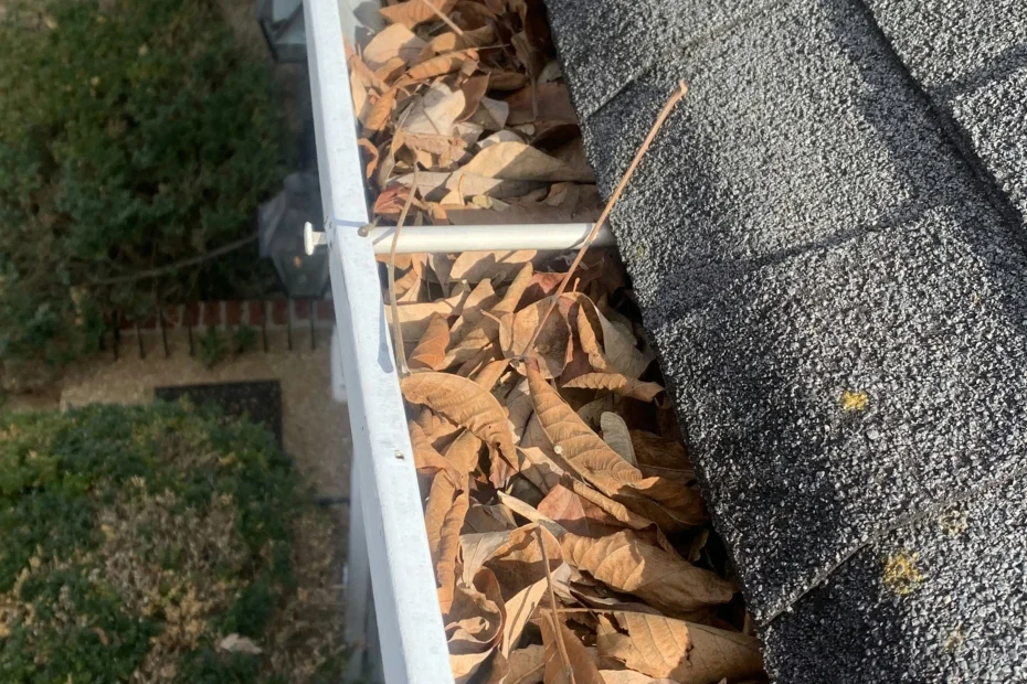 Gutter Cleaning Hernando MS