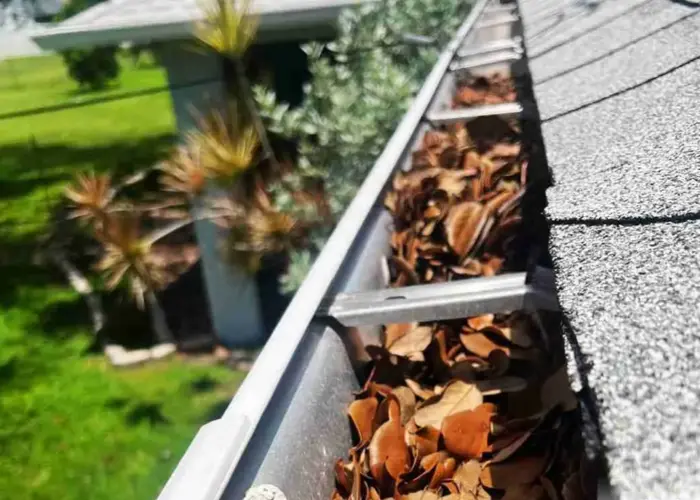 Gutter Cleaning Hernando MS home page